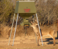 1000lb. Protein Feeder