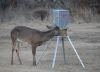 Block Feeder
